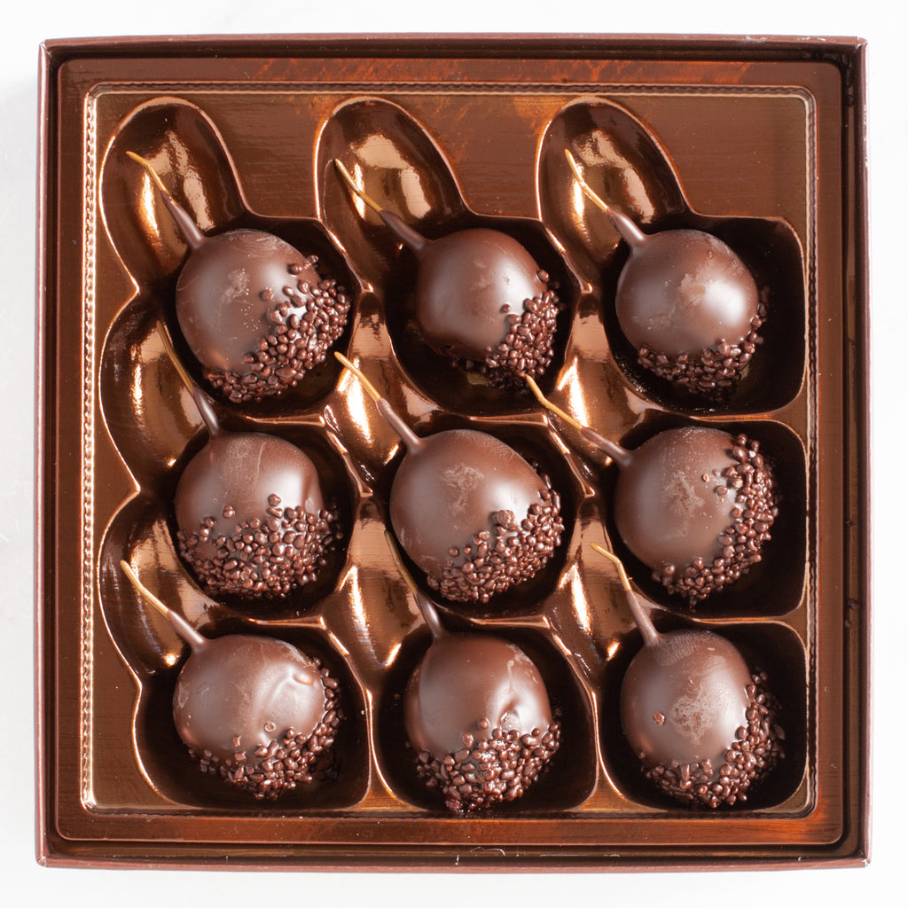 La Guinette - Chocolate Dipped Armagnac Soaked Cherries