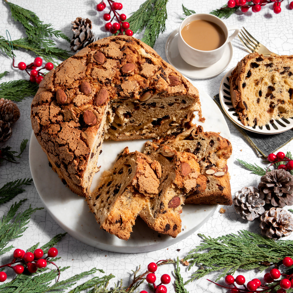 Chocolate Panettone